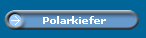 Polarkiefer